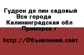 Гудрон де пин садовый - Все города  »    . Калининградская обл.,Приморск г.